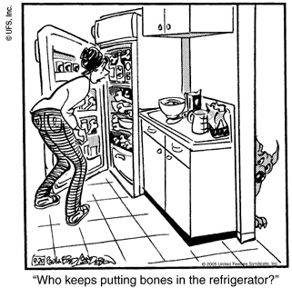 marmaduke